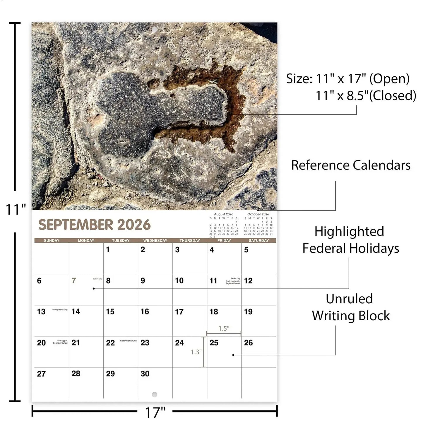 2026 Calendar 12 Months Funny Cactus Illustrations Home Office Decor Humorous Gift for Visual Display Scheduling Time Management