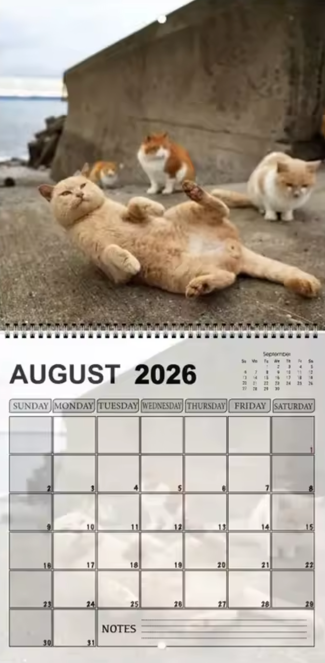 5 Reasons Funny Calendars Make the Perfect Holiday Gift (Even for People Who Are Hard to Shop For)