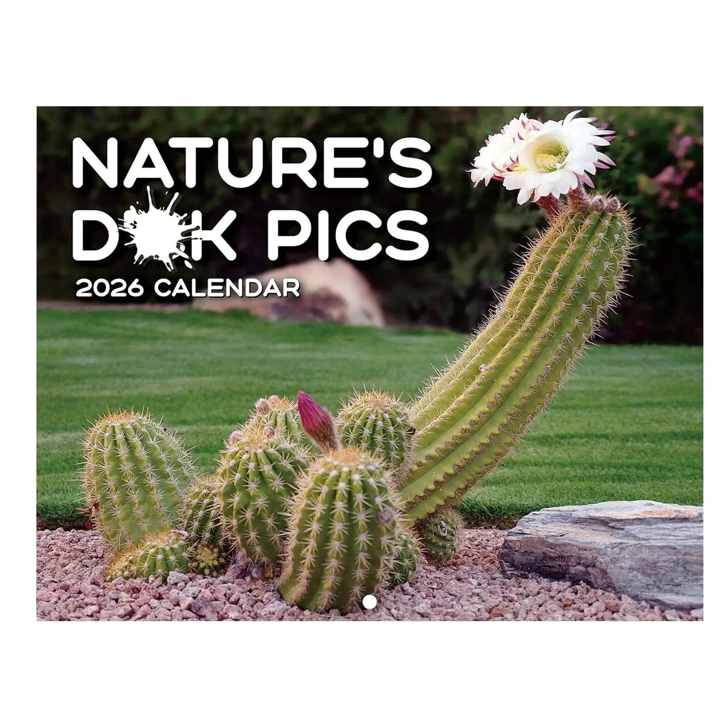 2026 Calendar 12 Months Funny Cactus I