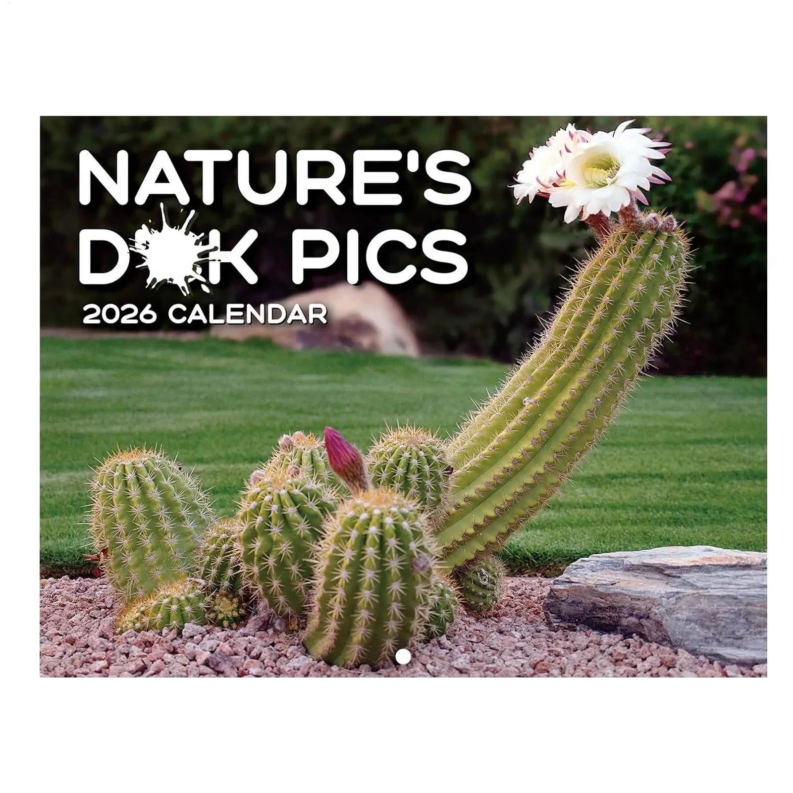 2026 Calendar 12 Months Funny Cactus I