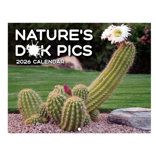 2026 Calendar 12 Months Funny Cactus I