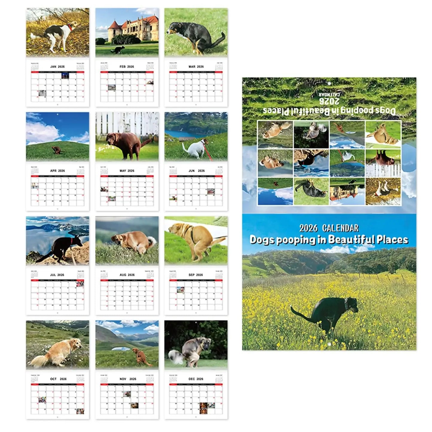 Pooping Dog Calendar 2026 Large Monthly Grid Planning With Important Note Space Funny Gifs For Dogs Lover's Home Decora