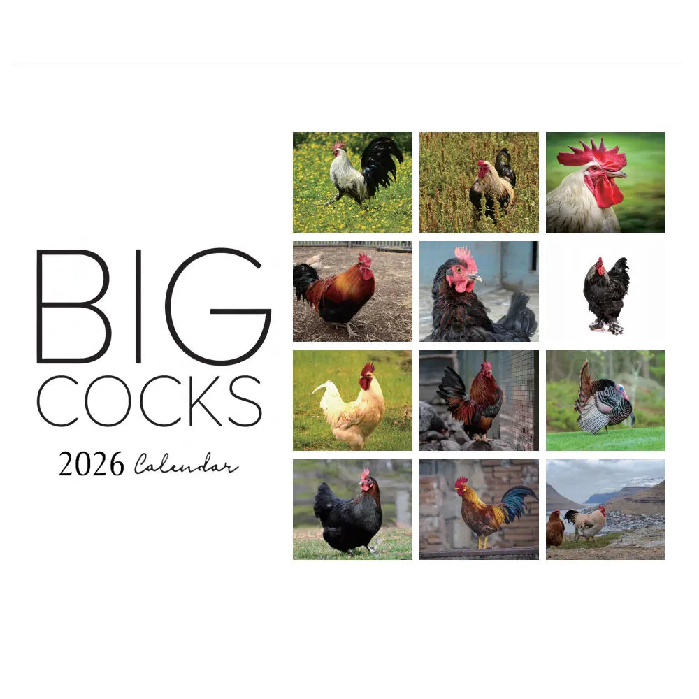Rooster Calendar 2026 Funny Rooster Monthly Calendar 8x11 Inch Chicken Illustrations Calendar Scheduling 2026 Wall Calendar