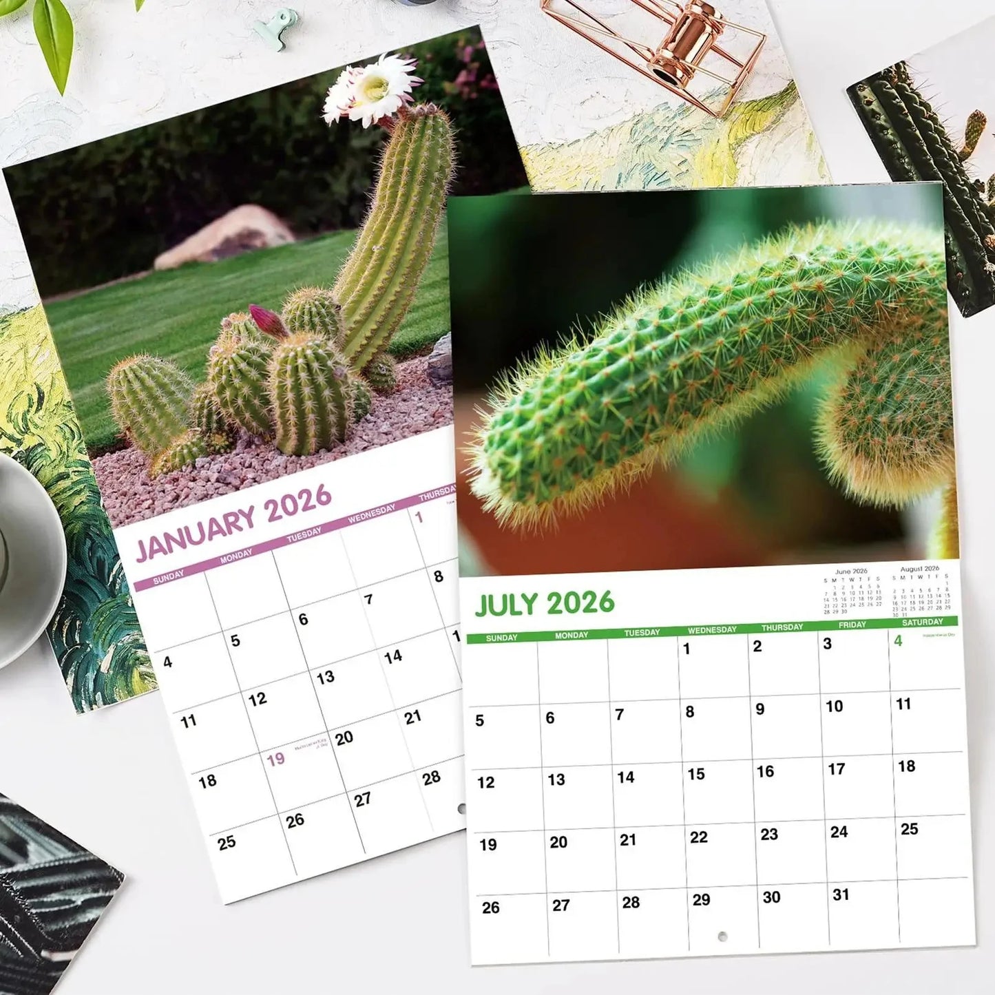 2026 Calendar 12 Months Funny Cactus Illustrations Home Office Decor Humorous Gift for Visual Display Scheduling Time Management