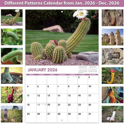 2026 Calendar 12 Months Funny Cactus Illustrations Home Office Decor Humorous Gift for Visual Display Scheduling Time Management