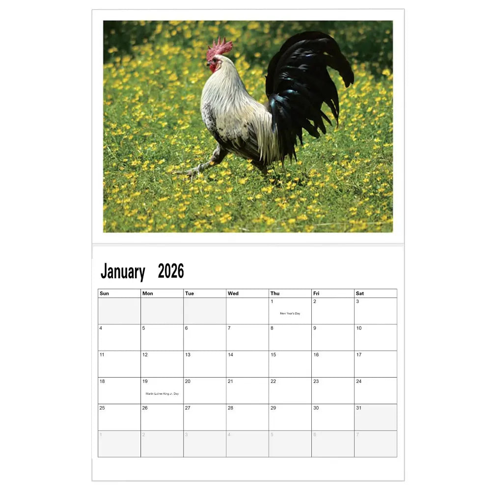 Rooster Calendar 2026 Funny Rooster Monthly Calendar 8x11 Inch Chicken Illustrations Calendar Scheduling 2026 Wall Calendar