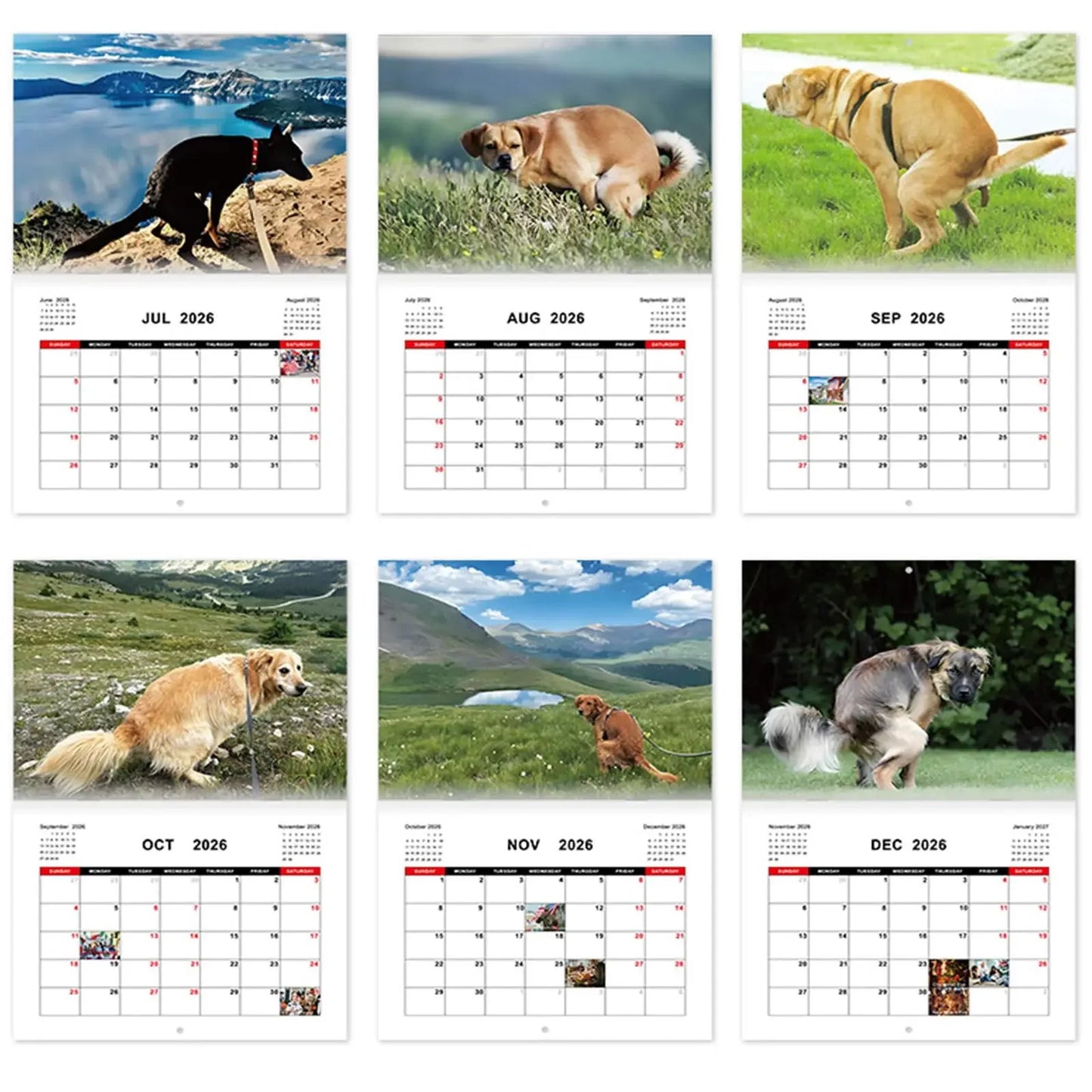 Pooping Dog Calendar 2026 Large Monthly Grid Planning With Important Note Space Funny Gifs For Dogs Lover's Home Decora